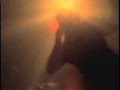 Sparklehorse Saint Mary Official Video