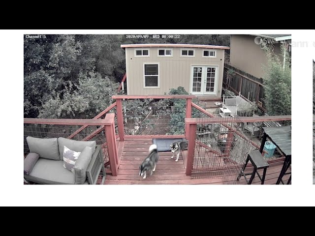 video-img