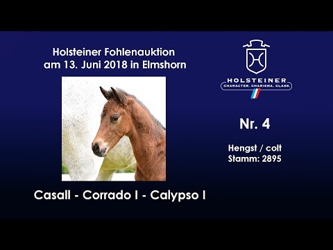 Holsteiner Fohlenauktion im Juni | Nr. 4 v. Casall - Corrado I
