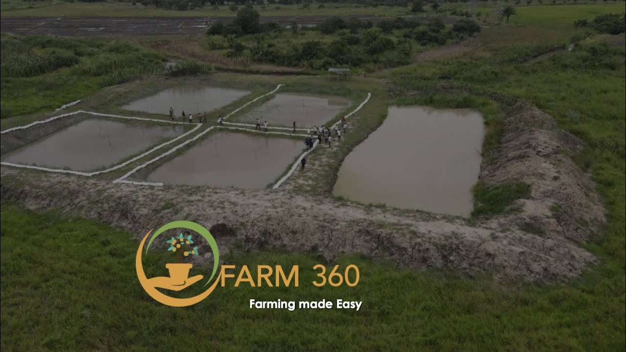Catfish & Tilapia Project