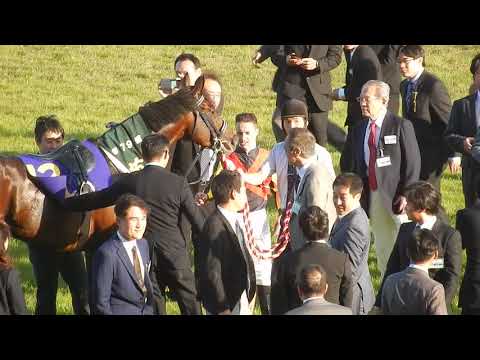 菊花賞2018/フィエールマンとルメール騎手の口取り式（2018.10.21)