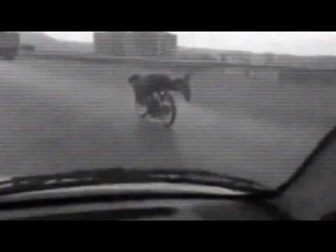 Jonathan Boulet - You're A Animal