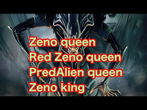 Zeno queen red Zeno queen PredAlien queen and Zeno king