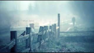 Fleet Foxes ~ Oliver James