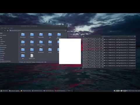 ArcoLinux : 1662 An application crashes - what can you do? Discord as example 21/10/2020