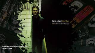 David Usher - Forestfire (Jamie Myerson Noize Mix)
