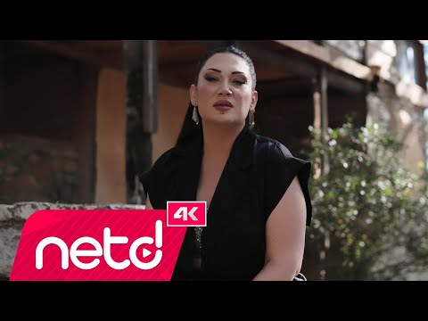 Zeliha Seçilmiş - İki Arada