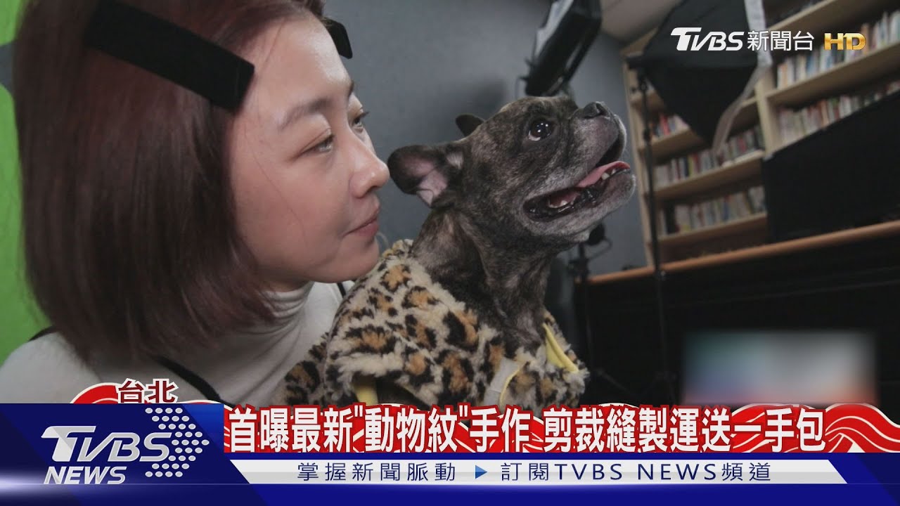 李維維創寵物衣品牌!重視布料好穿脫 愛犬「李先蔘」最佳模特
