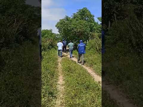 Guayas  Pedro carbo  zona31