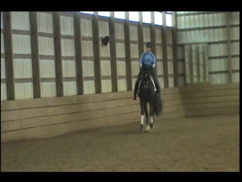 Prelude LGF April 2010_0001.wmv