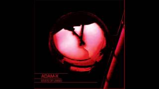 Adam-X -  Shifted Gears