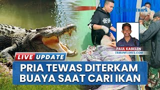 Cari Ikan di Sungai Lembata, Pria Ini Tewas Mengenaskan Diterkam Buaya
