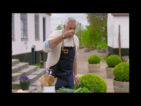 Tomppi's Memes - Sjuk sommar med Ernst