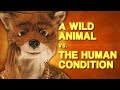 Fantastic Mr Fox Is A Paradox