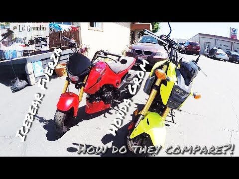 Grom vs. Icebear Fuerza