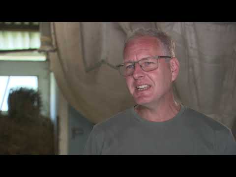 Steirische Landwirtschaft: Bioschweine