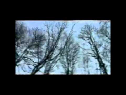 The Hare and the Moon~Reynardine