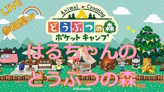 【どうぶつの森】はるちゃんのはじめてのおつかい at ぽけっときゃんぷぅ【参加型LIVE】
