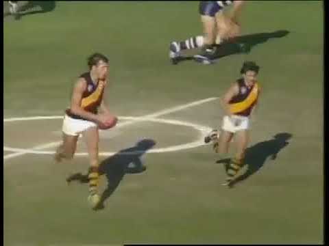 VFL 1980 and 1981 That Was The Season That Was