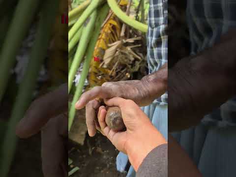 Day 014 | Why do we need both ClusterIP & NodePort | DevOps interview Question