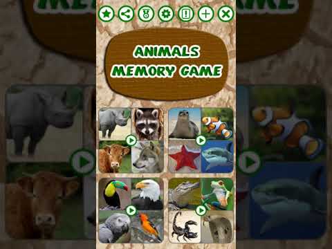 Animals Memory Game Video
