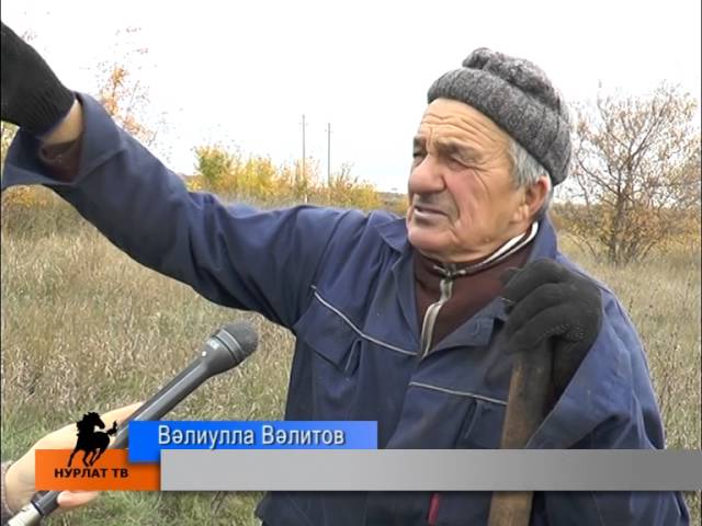 Чишмә янында алма һәм сырганак ашап...