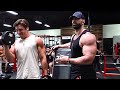 CRUSHING ARMS & SHOULDERS