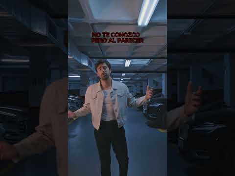 MELER - aunque no digas nada (Lyric Video)