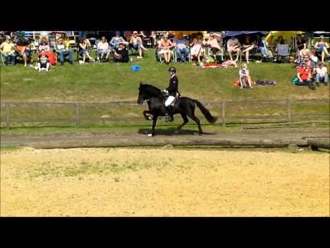 Kronshof 2013 - Moli frá Skriðu - T1 - isibless