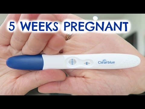 5 WEEKS PREGNANT UPDATE  |  EMILY NORRIS