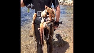 preview picture of video 'Polpo San Felice Circeo 2012 - octopus fishing'