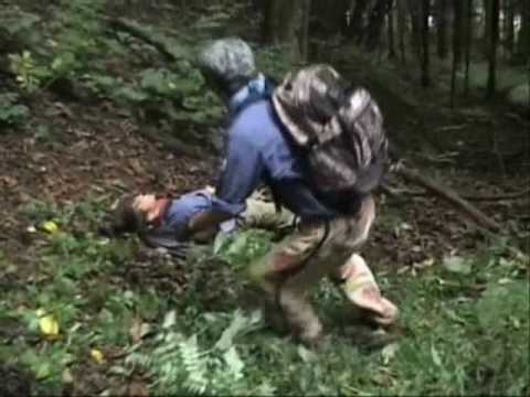 bassin-aquatique-jardin-nénuphare-mauve