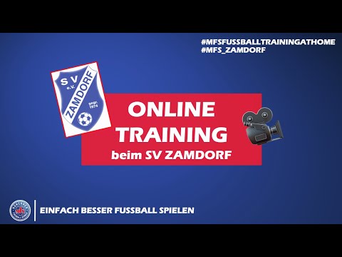 MFS - Level 6D - Onlinetraining beim SV Zamdorf
