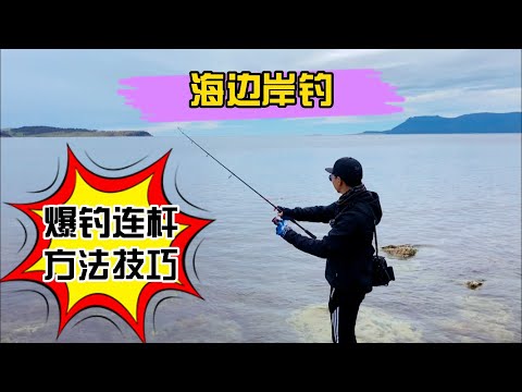 掛魚