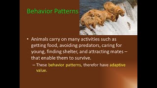 complex behaviour patterns