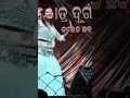 Raku Suna Oretsta Prom Sambalpurt Shorts