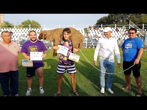 KUREȘ — lupte tătărești, pe Stadionul Central din Mangalia