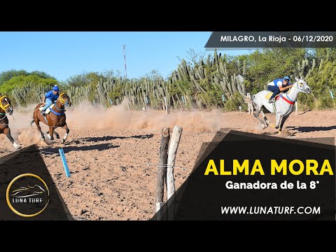 HIP. "JOCKEY CLUB MILAGRO" - 06/12/2020 - ALMA MORA, CLANDESTINO, AMIGO DE FARRA