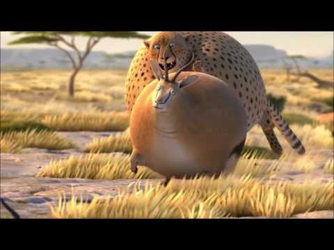 obezite, şişman hayvanlar