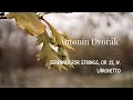 Antonín Dvořák - Serenade for Strings, Op. 22, IV. Larghetto