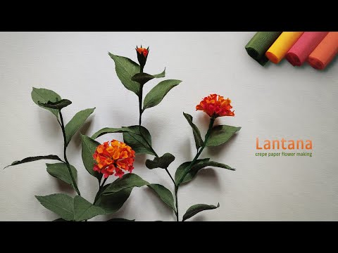 Lantana Crepe Paper Flower  | Crepe Paper Flower | Artificial Flower Making | DIY
