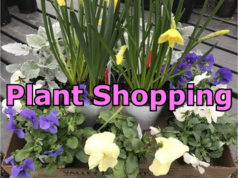 Plant Shopping + Mini Tour of Garden Center