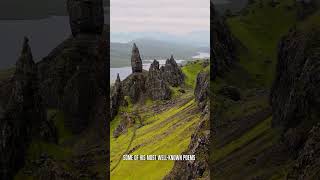 Robbie Burns Night 250125 #sydney #australia #nz #uk #scotland #scottish #poetry #auldlangsyne