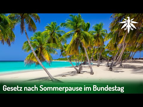 Gesetz nach Sommerpause im Bundestag | DHV-News # 382