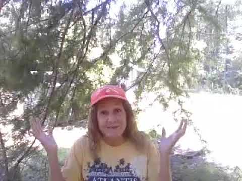 Morgellons NanoParasites