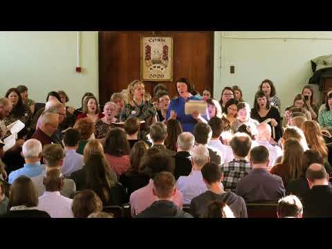 457 Wayfaring Stranger - The Tenth Ireland Sacred Harp Convention (HD/4K)