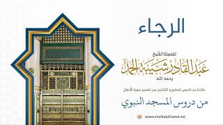 صورة الرجاء | لفضيلة الشيخ عبدالقادر شيبة الحمد رحمه الله350