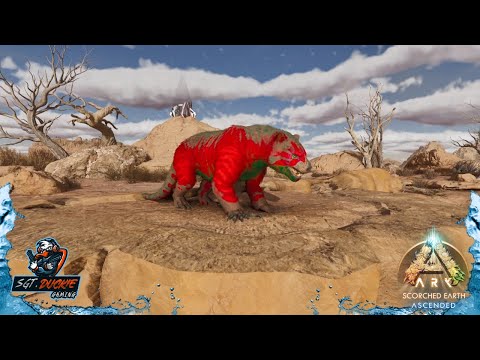 Taming A Thylacoleo  - Ark Survival Ascended - Scorched Earth