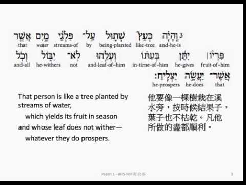 Psalm 1: Hebrew interlinear audio Bible 希伯來文聖經:詩篇第一篇