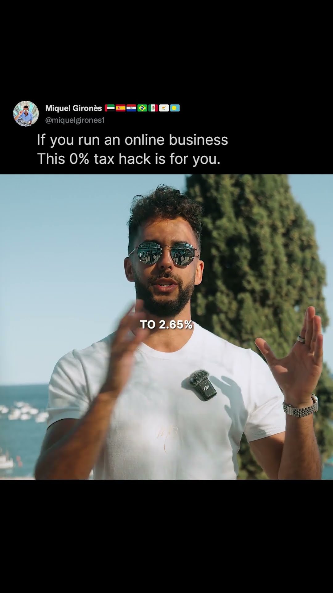 How Online Business Owners Pay 0% Tax